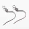 Купить Швензы-крючки №110 с овальной пружинкой 21*20мм цвет платины (Хирургическая сталь) (1 пара) с доставкой по России
