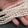 (ОПТ) Бусина Жемчуг 29 пресноводный овальный 7-8*5-6мм натуральный (камни) (нить 33-34см) Купить (ОПТ) Бусина Жемчуг 29 пресноводный овальный 7-8*5-6мм натуральный (камни) (нить 33-34см) с доставкой по России