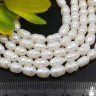 (ОПТ) Бусина Жемчуг 29 пресноводный овальный 7-8*5-6мм натуральный (камни) (нить 33-34см) Купить (ОПТ) Бусина Жемчуг 29 пресноводный овальный 7-8*5-6мм натуральный (камни) (нить 33-34см) с доставкой по России