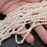(ОПТ) Бусина Жемчуг 30 пресноводный фриформ 3-4мм белый натуральный (камни) (нить 34-35см) Купить (ОПТ) Бусина Жемчуг 30 пресноводный фриформ 3-4мм белый натуральный (камни) (нить 34-35см) с доставкой по России