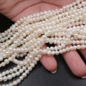 (ОПТ) Бусина Жемчуг 31 пресноводный фриформ 4-5мм белый натуральный (камни) (нить 34-35см) Купить (ОПТ) Бусина Жемчуг 31 пресноводный фриформ 4-5мм белый натуральный (камни) (нить 34-35см) с доставкой по России