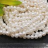 (ОПТ) Бусина Жемчуг 31 пресноводный фриформ 4-5мм белый натуральный (камни) (нить 34-35см) Купить (ОПТ) Бусина Жемчуг 31 пресноводный фриформ 4-5мм белый натуральный (камни) (нить 34-35см) с доставкой по России