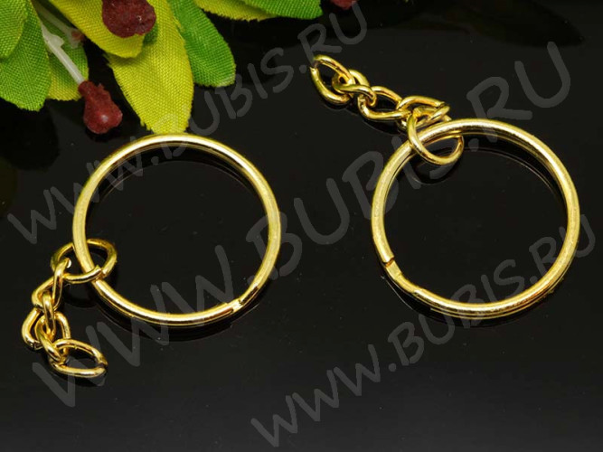 (СКИДКИ!!!) Карабин для брелка 19 Кольцо 25*25*2,3мм и цепочка 28*4,5*1,5мм золотистый (Iron)(10шт)