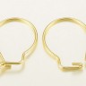 Купить Швензы-петли №20 кольца 19*13*0,8мм золотистые (Хирургическая сталь) (1 пара) с доставкой по России