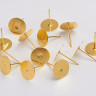 Пуссеты ("гвоздики") №191 с платформой 10мм 12*0,7мм золотистые (Brass) (1 пара) Купить Пуссеты ("гвоздики") №191 с платформой 10мм 12*0,7мм золотистые (Brass) (1 пара) с доставкой по России
