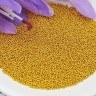 Микробисер 01 0,6-0,8мм золотистый непрозрачный (стекло) (5гр) Купить Микробисер 01 0,6-0,8мм золотистый непрозрачный (стекло) (5гр) с доставкой по России