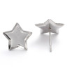 Пуссеты ("гвоздики") №193 (с сеттингом звезда 12*12мм) 12,5*12*0,6мм цвет платины (Хирургическая сталь) (1 пара) Купить Пуссеты ("гвоздики") №193 (с сеттингом звезда 12*12мм) 12,5*12*0,6мм цвет платины (Хирургическая сталь) (1 пара) с доставкой по России