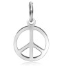 Купить Подвеска Пацифик 10 Символ Мира с колечком 14*12*1,1мм цвет платины (Хирургическая сталь) с доставкой по России