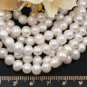 (ОПТ) Бусина Жемчуг 44 пресноводный тыковки 6-7мм белый натуральный (камни) (нить 35-37см) Купить (ОПТ) Бусина Жемчуг 44 пресноводный тыковки 6-7мм белый натуральный (камни) (нить 35-37см) с доставкой по России
