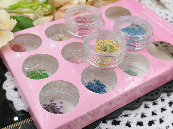 Сухие цветы 23 Зонтики плоские прессованные соцветия примерно 1,0-1,5см комплект МИКС (декор)