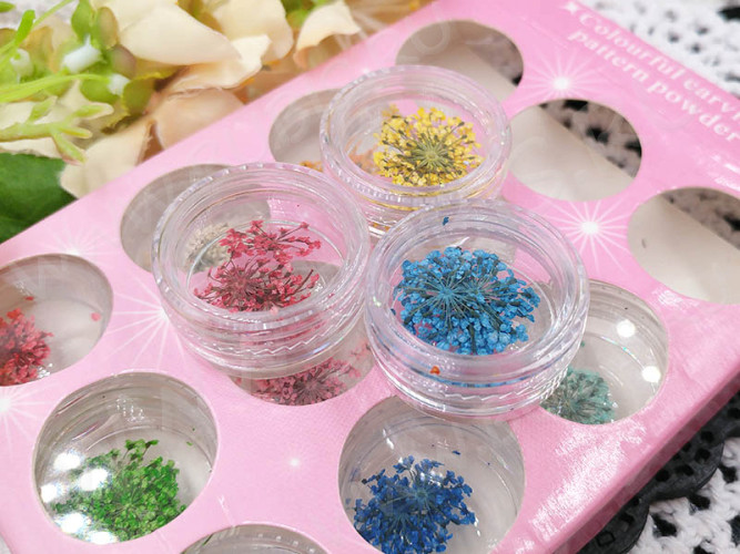 Сухие цветы 23 Зонтики плоские прессованные соцветия примерно 1,0-1,5см комплект МИКС (декор)