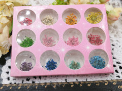 Сухие цветы 23 Зонтики плоские прессованные соцветия примерно 1,0-1,5см комплект МИКС (декор)