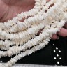 (ОПТ) Ракушка 10 крошка пластинки примерно 8-12*2мм белая молочная (перламутр и ракушки) (НИТЬ 20-21см) Купить (ОПТ) Ракушка 10 крошка пластинки примерно 8-12*2мм белая молочная (перламутр и ракушки) (НИТЬ 20-21см) с доставкой по России