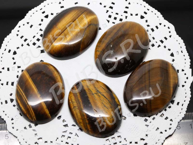 24712-kaboshon-tigrovyi-glaz-IMG_2992.JPG