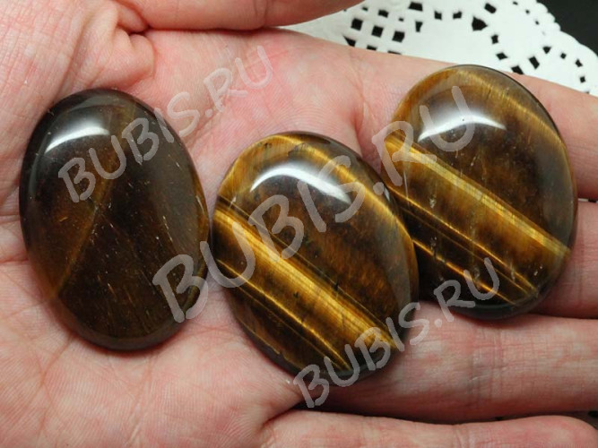 24713-kaboshon-tigrovyi-glaz-IMG_2995.JPG
