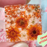 Ювелирная смола 05 УФ отверждения мягкая (гибкая) Soft UV RESIN (100г) (Bubis Craft) Купить Ювелирная смола 05 УФ отверждения мягкая (гибкая) Soft UV RESIN (100г) (Bubis Craft) с доставкой по России