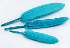 Перо №02 гусиное 10-14см голубо-бирюзовое (перья)