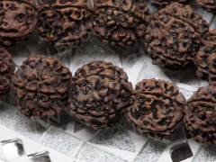 Бусина Орех 03 Рудракша 17-18мм коричневый (натуральные бусины)