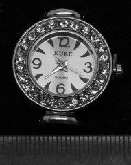 Заготовка для часов 090 округлая 4 петли 27,5*25,7*7,6мм цвет платины и прозрачные стразы (часы)