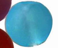 215 Бусина округлая матовая 10мм голубо-бирюзовая полупрозрачная (Lampwork)