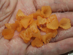 Бусина акрил Цветочек 64 воронка матовый 12,5*12*9,5мм рыжий полупрозрачный (акрил) (10шт.)