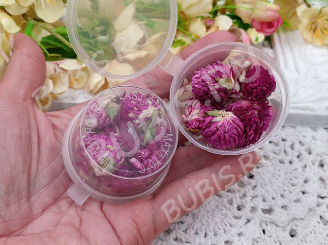 Сухие цветы 16 Гомфрена в коробочке (натуральные цветы)