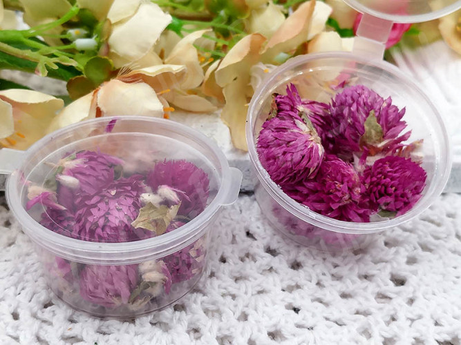 Сухие цветы 16 Гомфрена в коробочке (натуральные цветы)