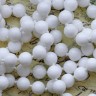 Купить (ОПТ) Бусина округлая 8мм Агат белый пресс. (камни) (НИТЬ) с доставкой по России