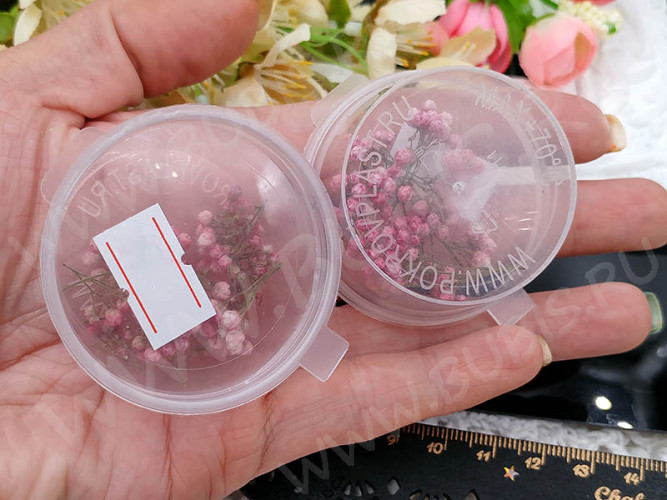 Сухие цветы 18 Озотамнус розовый в коробочке (натуральные цветы)