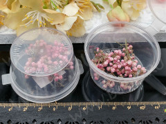 Сухие цветы 18 Озотамнус розовый в коробочке (натуральные цветы)