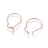 Купить Швензы-петли №20 кольца 19*13*0,8мм розовое золото (Хирургическая сталь) (1 пара) с доставкой по России