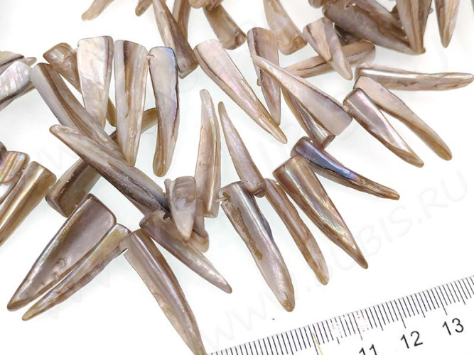 Бусина каменная Клык 16 20-35*5-7*3-5мм Перламутр серый (камни) (перламутр и ракушки) (10шт.)