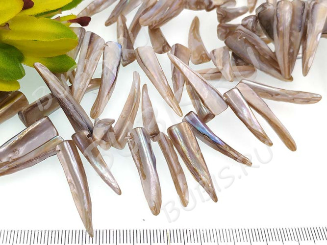 Бусина каменная Клык 16 20-35*5-7*3-5мм Перламутр серый (камни) (перламутр и ракушки) (10шт.)