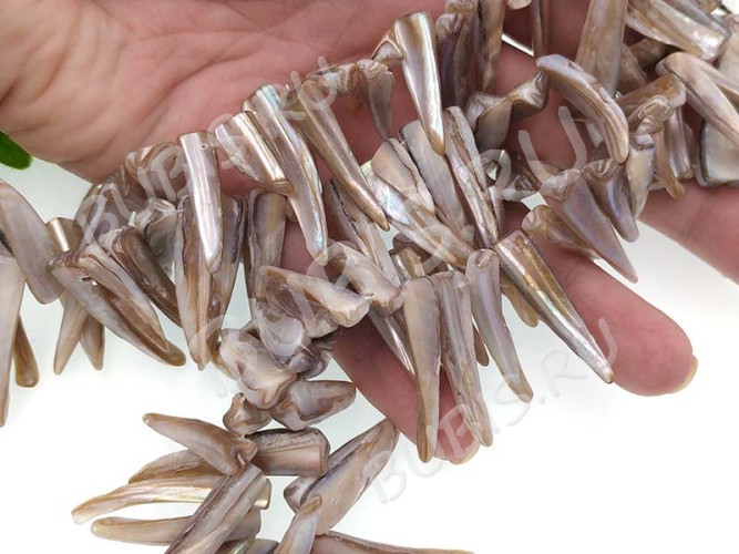 Бусина каменная Клык 16 20-35*5-7*3-5мм Перламутр серый (камни) (перламутр и ракушки) (10шт.)