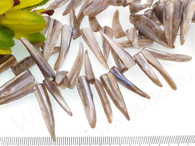 (ОПТ) Бусина каменная Клык 16 20-35*5-7*3-5мм Перламутр серый (камни) (перламутр и ракушки) (НИТЬ)