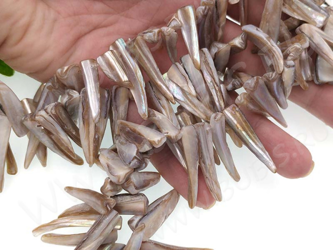 (ОПТ) Бусина каменная Клык 16 20-35*5-7*3-5мм Перламутр серый (камни) (перламутр и ракушки) (НИТЬ)