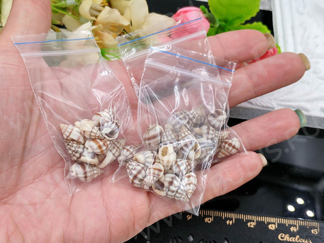 Наполнение для смолы и бутылочек 069 Ракушки 10-20*5-10мм бело-коричневые (декор) (10шт.)