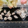 Купить Наполнение для смолы и бутылочек 069 Ракушки 10-20*5-10мм бело-коричневые (декор) (10шт.) с доставкой по России