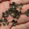 Купить (СКИДКИ!!!) Шапочка тонкая 032 ажурная ветки 12мм античная бронза (Iron) (имитация скани) (50шт.) с доставкой по России
