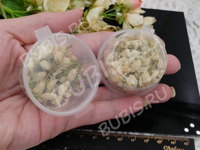 Сухие цветы 06 Бутоны Жасмина в коробочке (натуральные цветы)