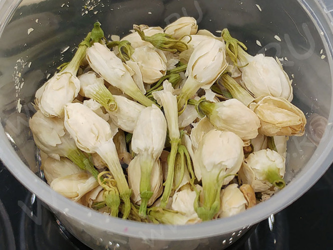 Сухие цветы 06 Бутоны Жасмина в коробочке (натуральные цветы)