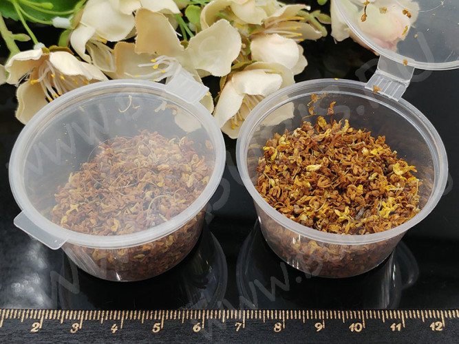 Сухие цветы 07 Османтус жёлто-коричневый в коробочке (натуральные цветы)