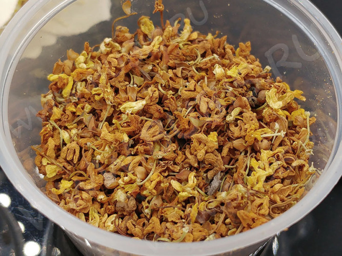 Сухие цветы 07 Османтус жёлто-коричневый в коробочке (натуральные цветы)