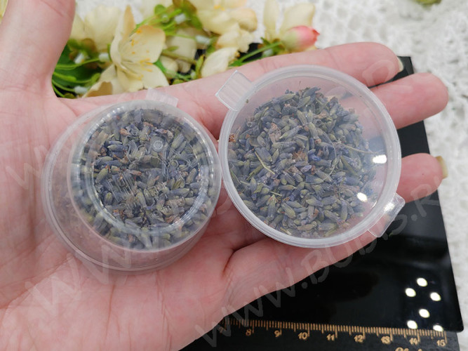 Сухие цветы 08 Лаванда в коробочке (натуральные цветы)