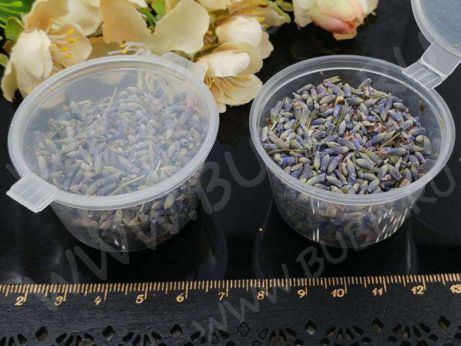 Сухие цветы 08 Лаванда в коробочке (натуральные цветы)