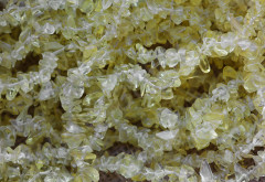 Крошка (галтовка) каменная 063 5-9мм Цитрин (камни) (нить с замком прим.45см)