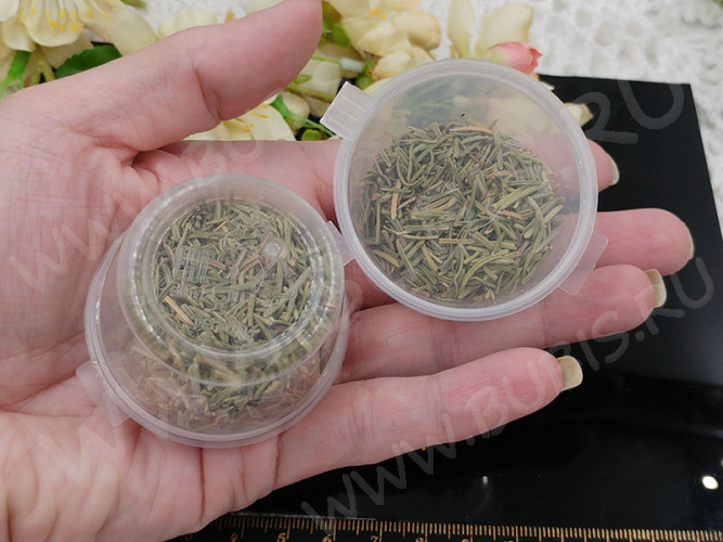 Сухие цветы 11 Розмарин иголочки зелёные в коробочке (натуральные цветы)