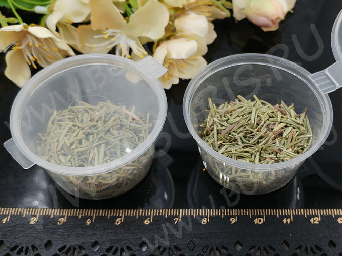 Сухие цветы 11 Розмарин иголочки зелёные в коробочке (натуральные цветы)