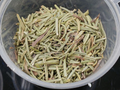 Сухие цветы 11 Розмарин иголочки зелёные в коробочке (натуральные цветы)