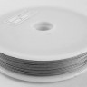 Купить Ювелирный тросик ланка струна 0,3мм цвет платины (серебристый) (5м) с доставкой по России